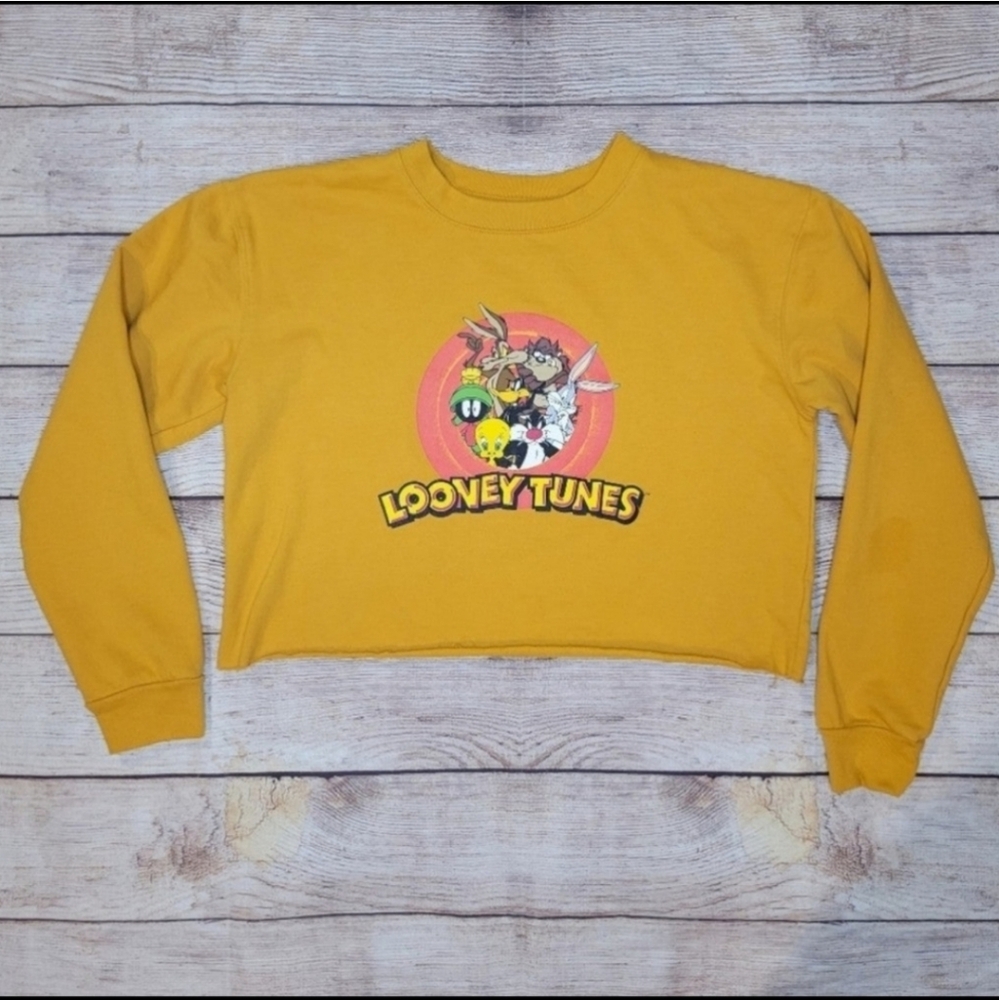 Warner bros Looney tunes gang cropped sweatshirt